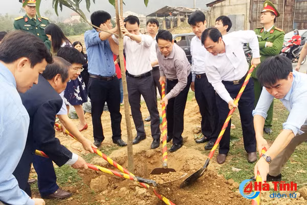 ha tinh soi noi tet trong cay dau xuan moi