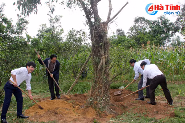 ha tinh soi noi tet trong cay dau xuan moi