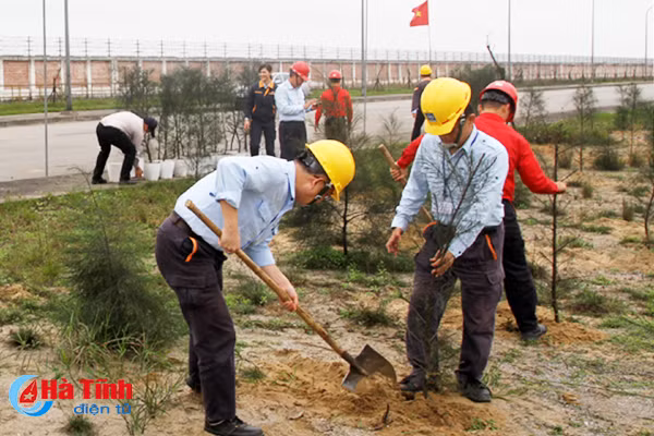 ha tinh soi noi tet trong cay dau xuan moi