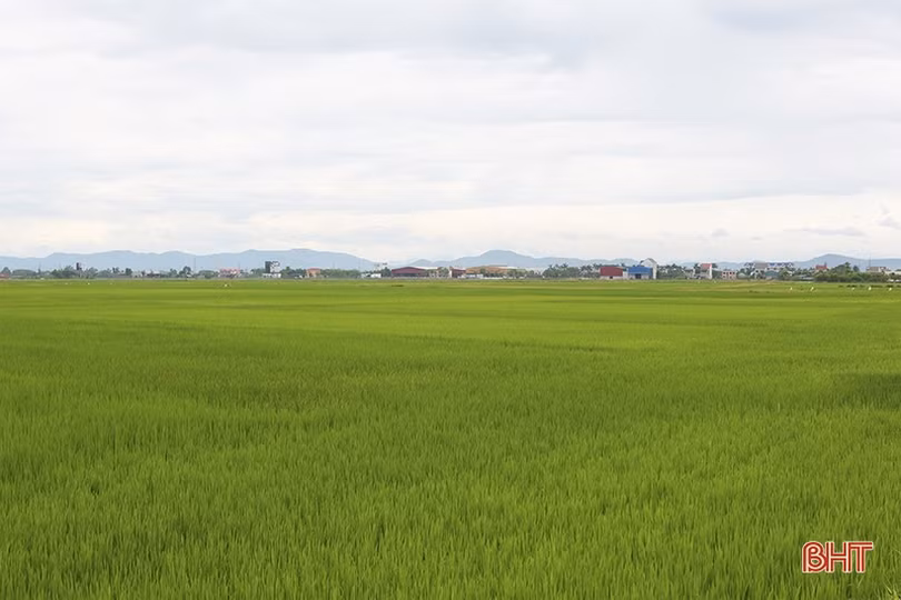 Gặp lại những người “xây hồ, đắp đập” đại thủy nông Kẻ Gỗ