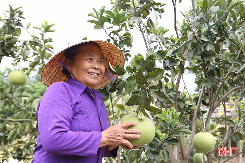 Gặp lại những người “xây hồ, đắp đập” đại thủy nông Kẻ Gỗ