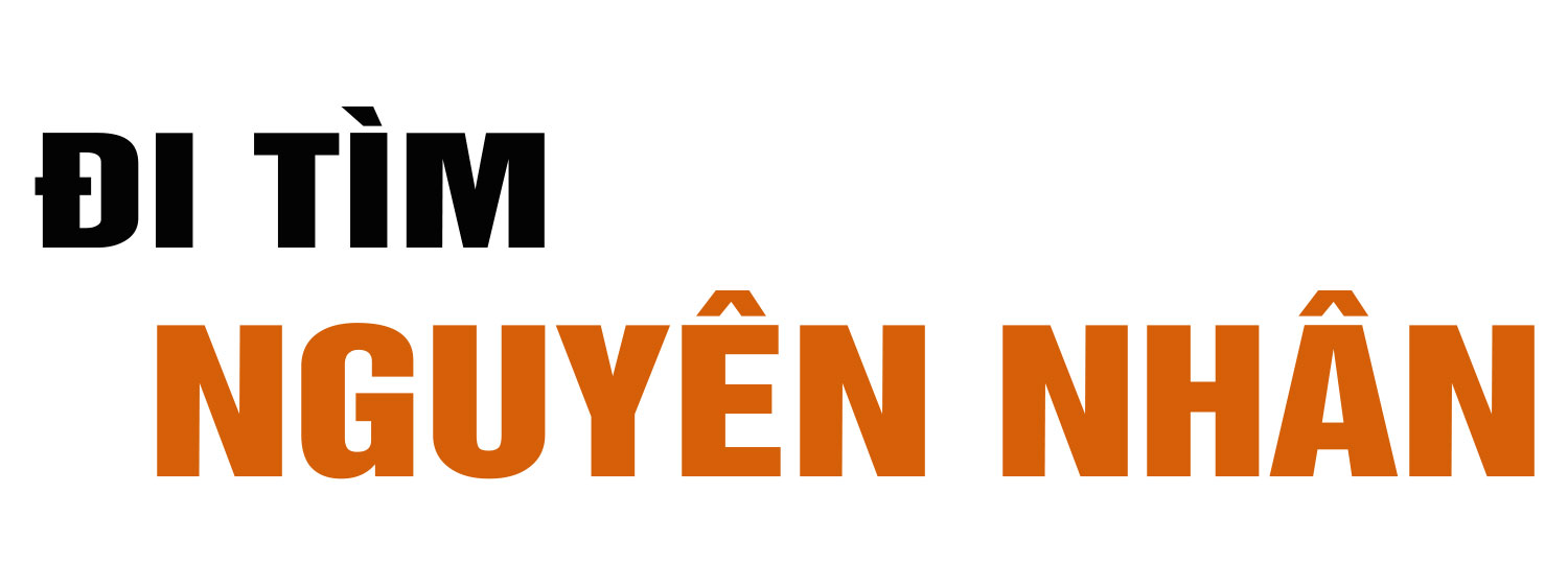 Phòng chống cháy rừng - cần sự chung tay của cả cộng đồng (bài 1): Vì đâu Hà Tĩnh luôn thường trực nguy cơ cháy rừng?