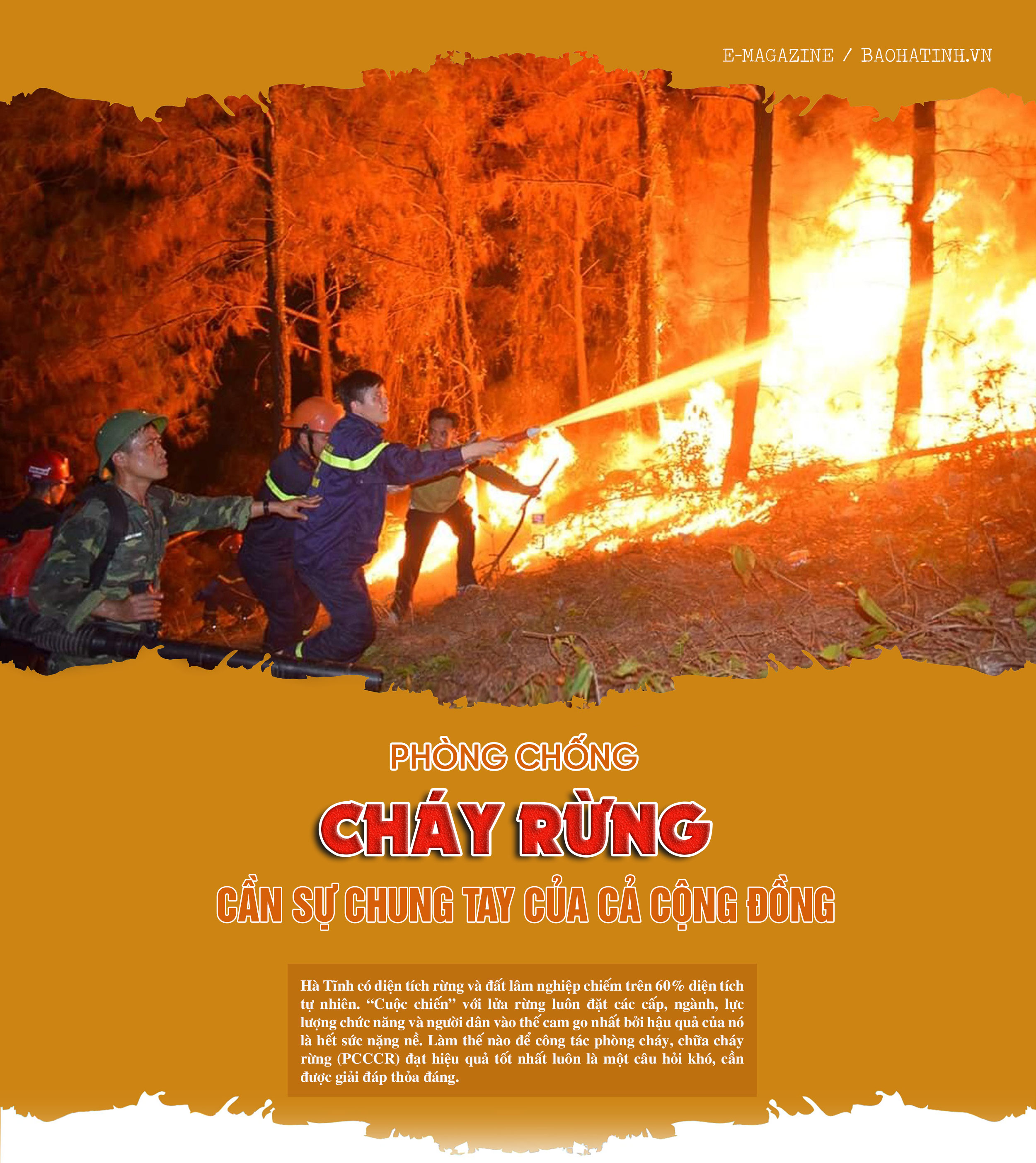 Phòng chống cháy rừng - cần sự chung tay của cả cộng đồng (bài 1): Vì đâu Hà Tĩnh luôn thường trực nguy cơ cháy rừng?