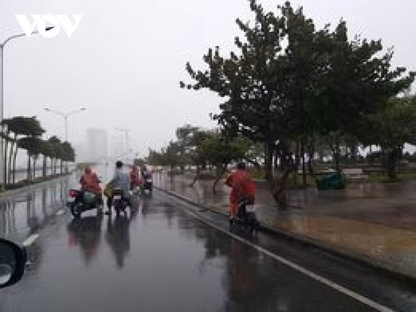 Bão số 12 đổ bộ vào Khánh Hòa, Phú Yên gây mưa lớn, nhiều cây xanh gãy đổ