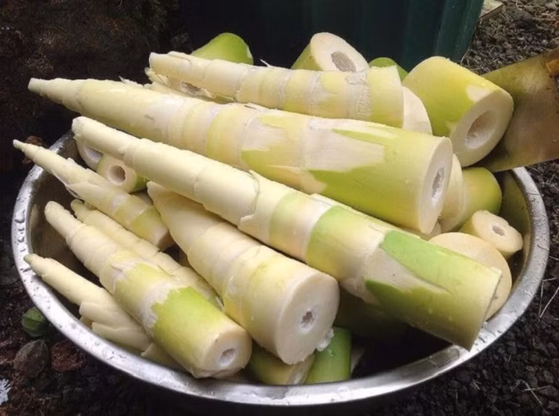 Lưu ý một số thực phẩm cần phải được nấu chín để đảm bảo sức khỏe