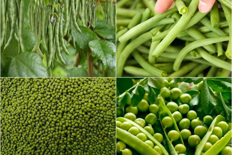 Lưu ý một số thực phẩm cần phải được nấu chín để đảm bảo sức khỏe