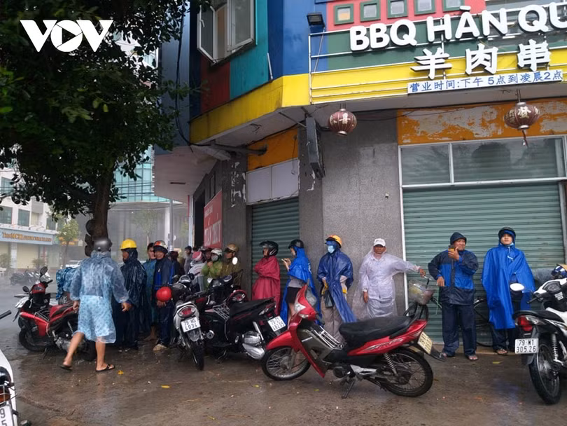 Bão số 12 đổ bộ vào Khánh Hòa, Phú Yên gây mưa lớn, nhiều cây xanh gãy đổ