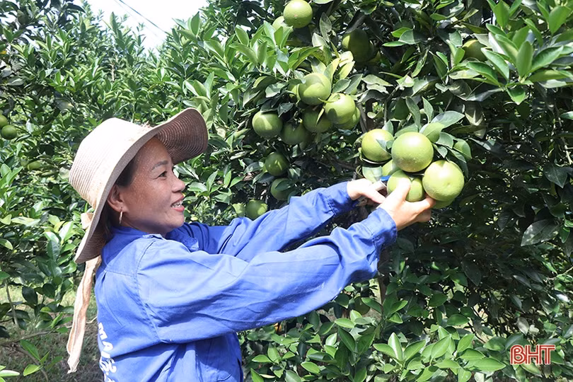 Nâng tầm vị thế phụ nữ Hà Tĩnh trong xã hội hiện đại