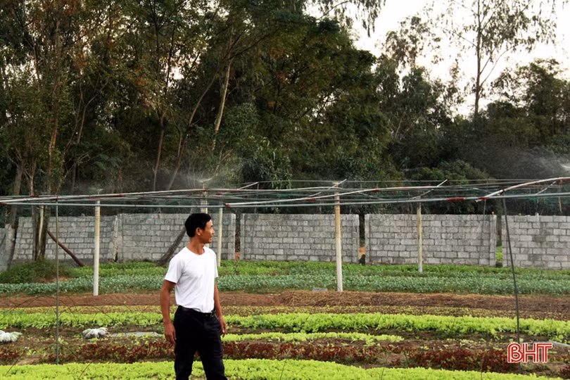 Anh nông dân Hà Tĩnh “cưỡi xế hộp” đi bán rau giống vụ đông