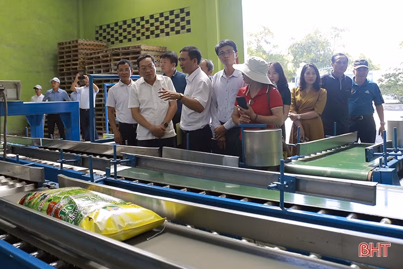 Can Lộc xúc tiến hợp tác với Tập đoàn Quế Lâm phát triển nông nghiệp hữu cơ