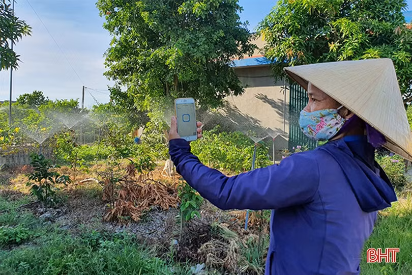 Lan tỏa hình ảnh người nông dân thế hệ mới ở Hà Tĩnh