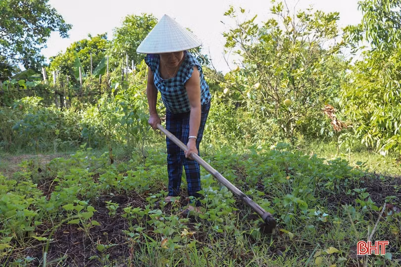 Tương trợ phát triển, gắn kết cộng đồng từ CLB liên thế hệ ở Cẩm Xuyên