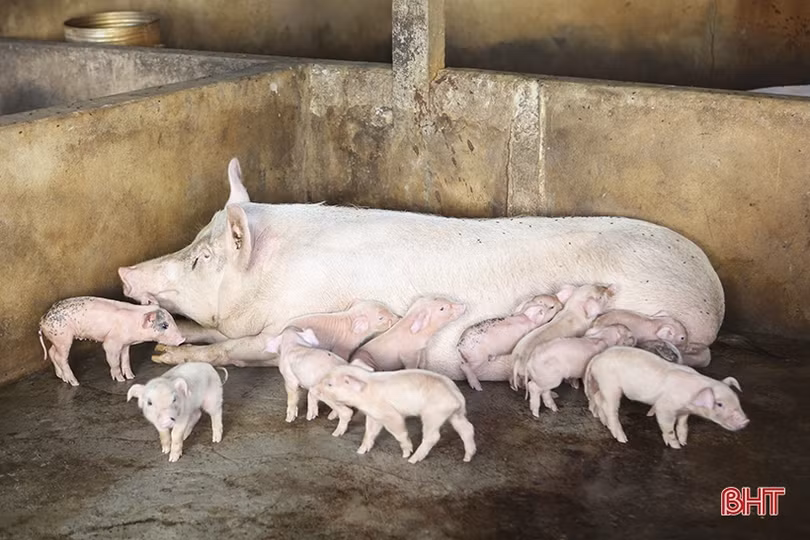 Cuộc sống hạnh phúc của người đàn ông khiếm thị giàu nghị lực