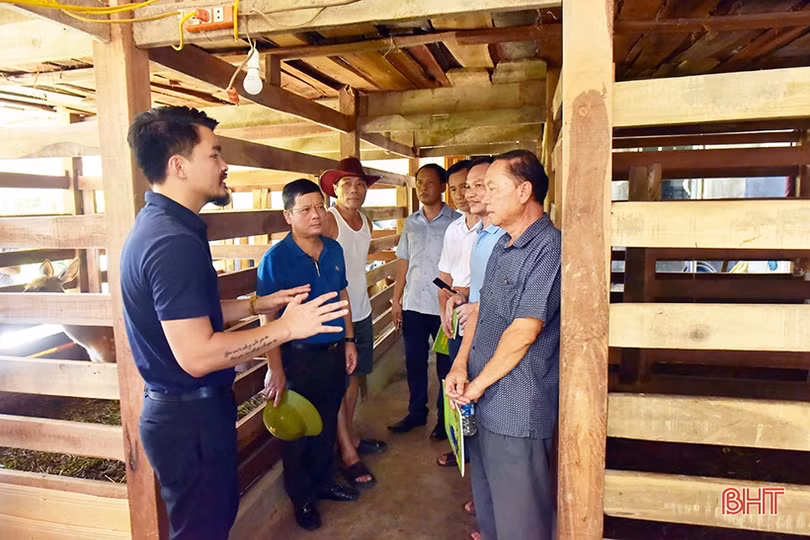 Đoàn công tác tỉnh Bôlykhămxay tham quan, học tập kinh nghiệm chăn nuôi hươu sao ở Hà Tĩnh