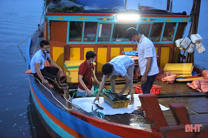 Đảm bảo phòng dịch, cảng cá lớn nhất Hà Tĩnh vẫn đón những chuyến tàu cập bến