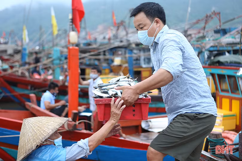 Đảm bảo phòng dịch, cảng cá lớn nhất Hà Tĩnh vẫn đón những chuyến tàu cập bến