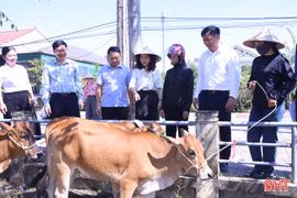 Trao mô hình sinh kế, xây dựng nhà nhân ái cho người nghèo 
