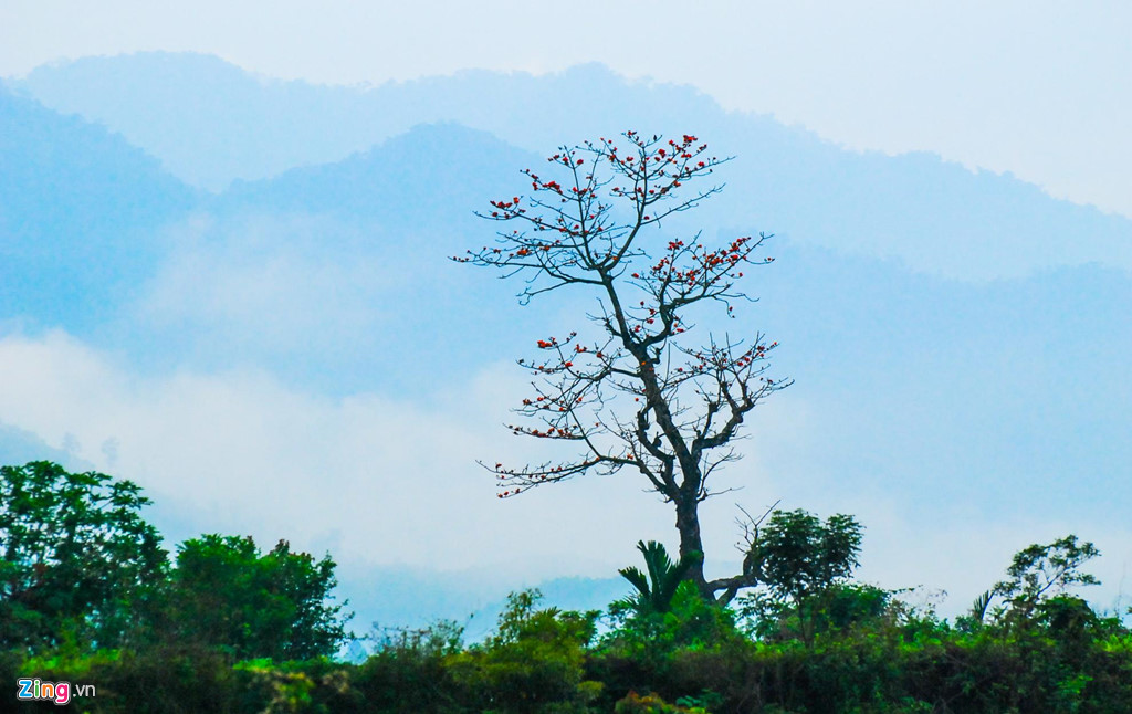 “Mùa săn mây” trên đỉnh Trường Sơn Đông