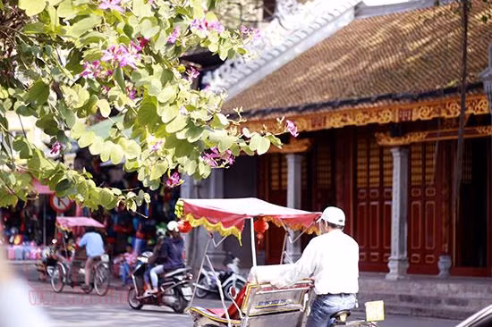 Ngày 5/4, Bắc Bộ nắng ấm, Nam Bộ mưa rào và gió giật ảnh 1 ngay 5 4 bac bo nang am nam bo mua rao va gio giat