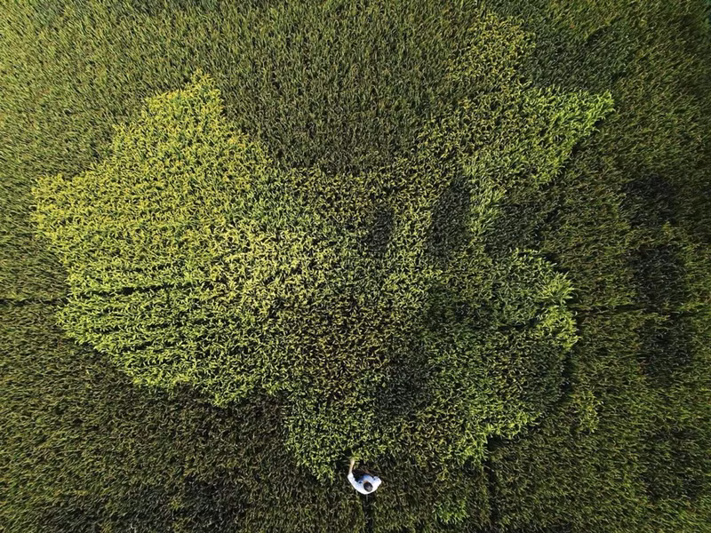 trung quoc rong lon qua nhung buc anh ngoan muc tu flycam