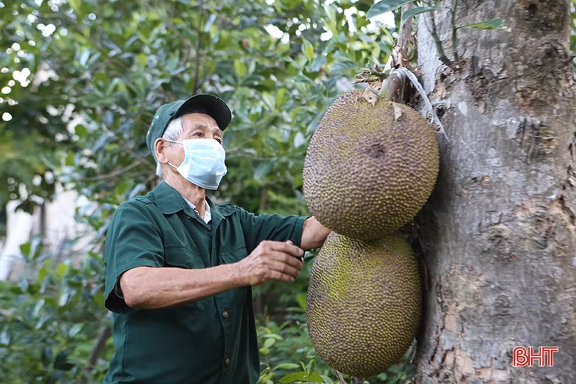 81 tuổi, cựu thanh niên xung phong ở Hà Tĩnh vẫn miệt mài công tác xã hội