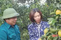 Đặc sản cam giòn Đồng Lộc vào mùa thu hoạch