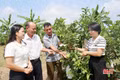 Không gian mới trên quê hương Cẩm Thành