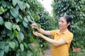 Sức sống mới trên miền quê Sơn Nam