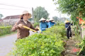 Chỉnh trang nông thôn, chào mừng ngày Quốc khánh 2/9 