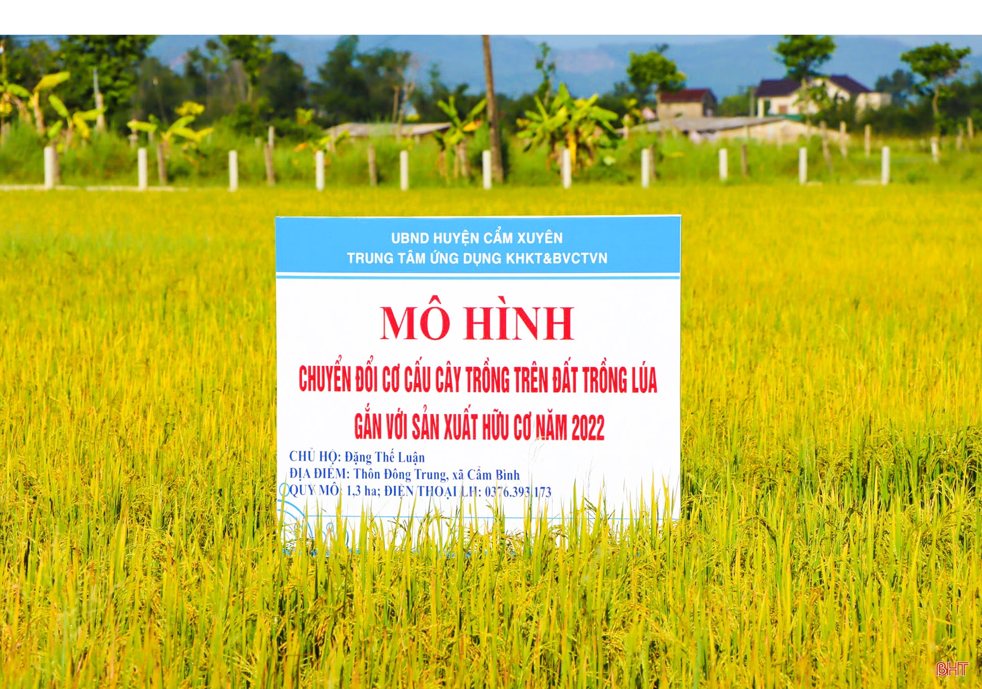 Đi trong mùa vàng…