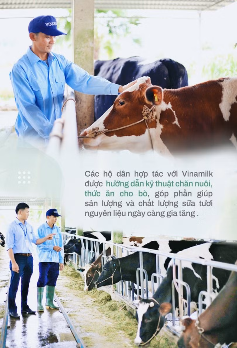 Bà Mai Kiều Liên – nữ doanh nhân, nhà khoa học tâm huyết vì ngành sữa