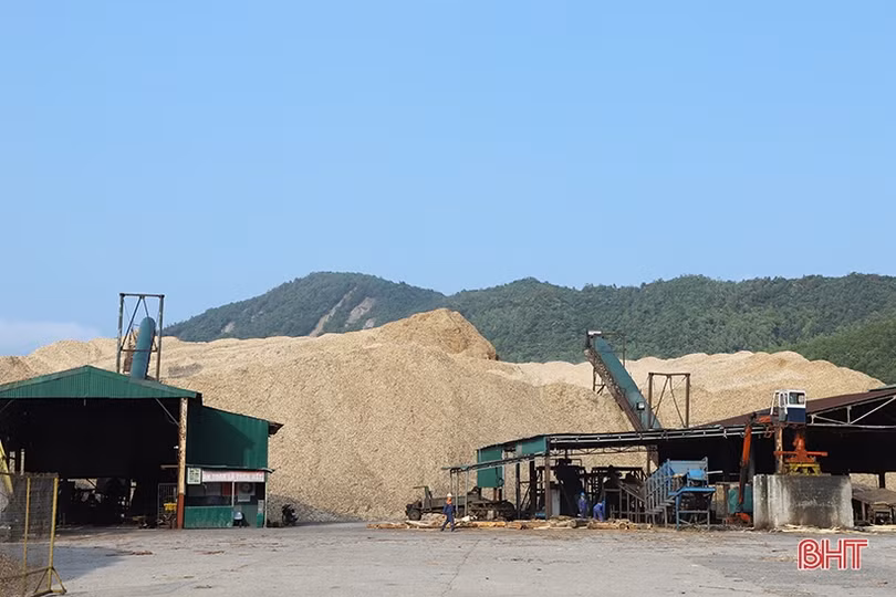 10 tháng, kim ngạch xuất khẩu của Hà Tĩnh đạt 114% kế hoạch