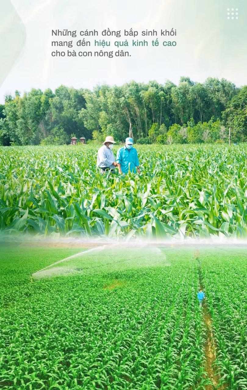 Bà Mai Kiều Liên – nữ doanh nhân, nhà khoa học tâm huyết vì ngành sữa