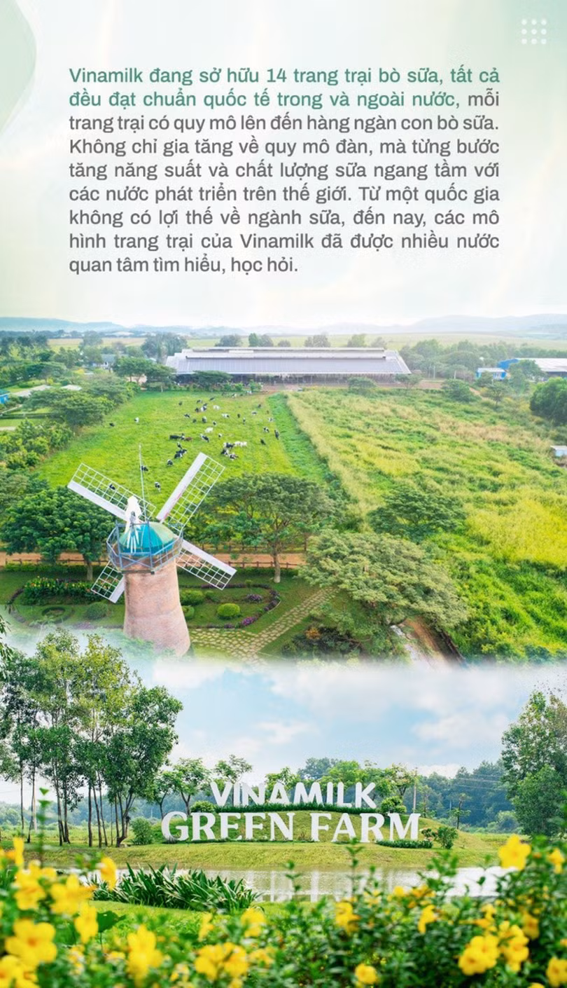 Bà Mai Kiều Liên – nữ doanh nhân, nhà khoa học tâm huyết vì ngành sữa