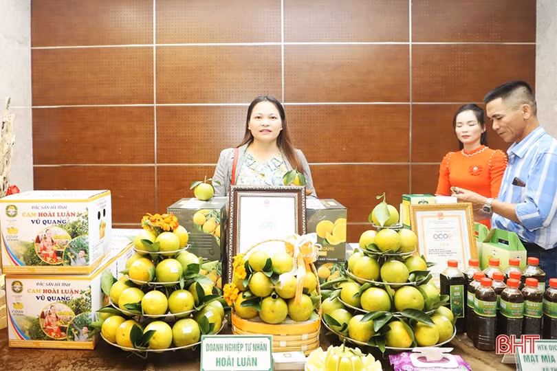 Cam được giá, nông dân phấn khởi thu hoạch