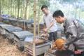 Rong ruổi cùng người nuôi ong du mục giữa núi rừng Hà Tĩnh