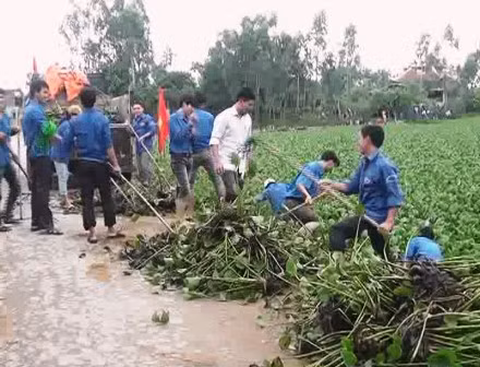Xã Hồng Lộc huy động đoàn viên thanh niên vớt bèo trên Sông Én