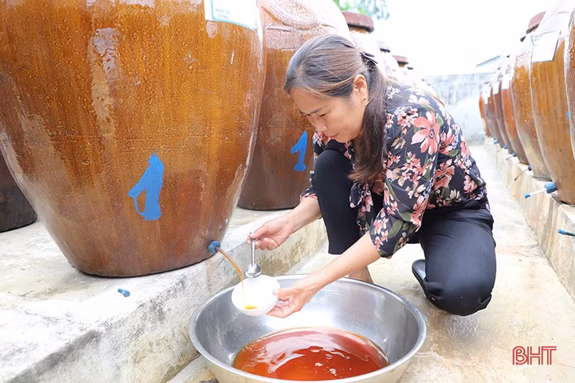 Háo hức đón chờ Lễ hội Cam và các sản phẩm nông nghiệp Hà Tĩnh