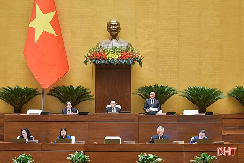 Đảm bảo tôn trọng quyền định đoạt của đương sự