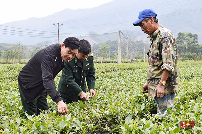Ấm tình quân dân, nặng nghĩa đồng bào
