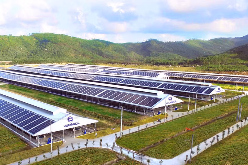 Phân tích cách “ông lớn tiền mặt” quản trị dòng tiền từ hoạt động kinh doanh