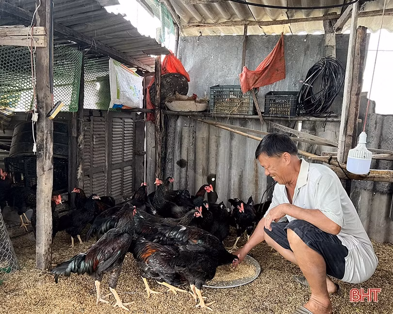 Mô hình sinh kế tiếp sức cho nhiều hoàn cảnh khó khăn ở Can Lộc thoát nghèo