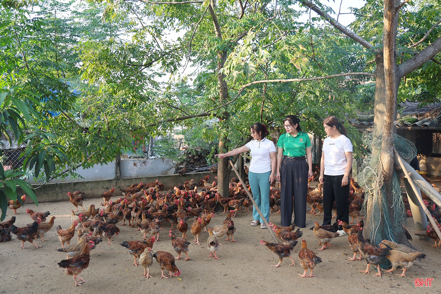 Trong quá trình phát triển nghề chăn nuôi gà, chính quyền địa phương và Hội Nông dân xã Yên Hòa luôn quan tâm, đồng hành, hỗ trợ người dân. Đặc biệt, được thành lập vào tháng 3/2026, Tổ hội Nông dân nghề nghiệp chăn nuôi gà Yên Hòa đã phát huy vai trò kết nối hội viên, tạo điều kiện để các hộ chăn nuôi gặp gỡ, trao đổi kinh nghiệm, hỗ trợ nhau trong quá trình sản xuất.