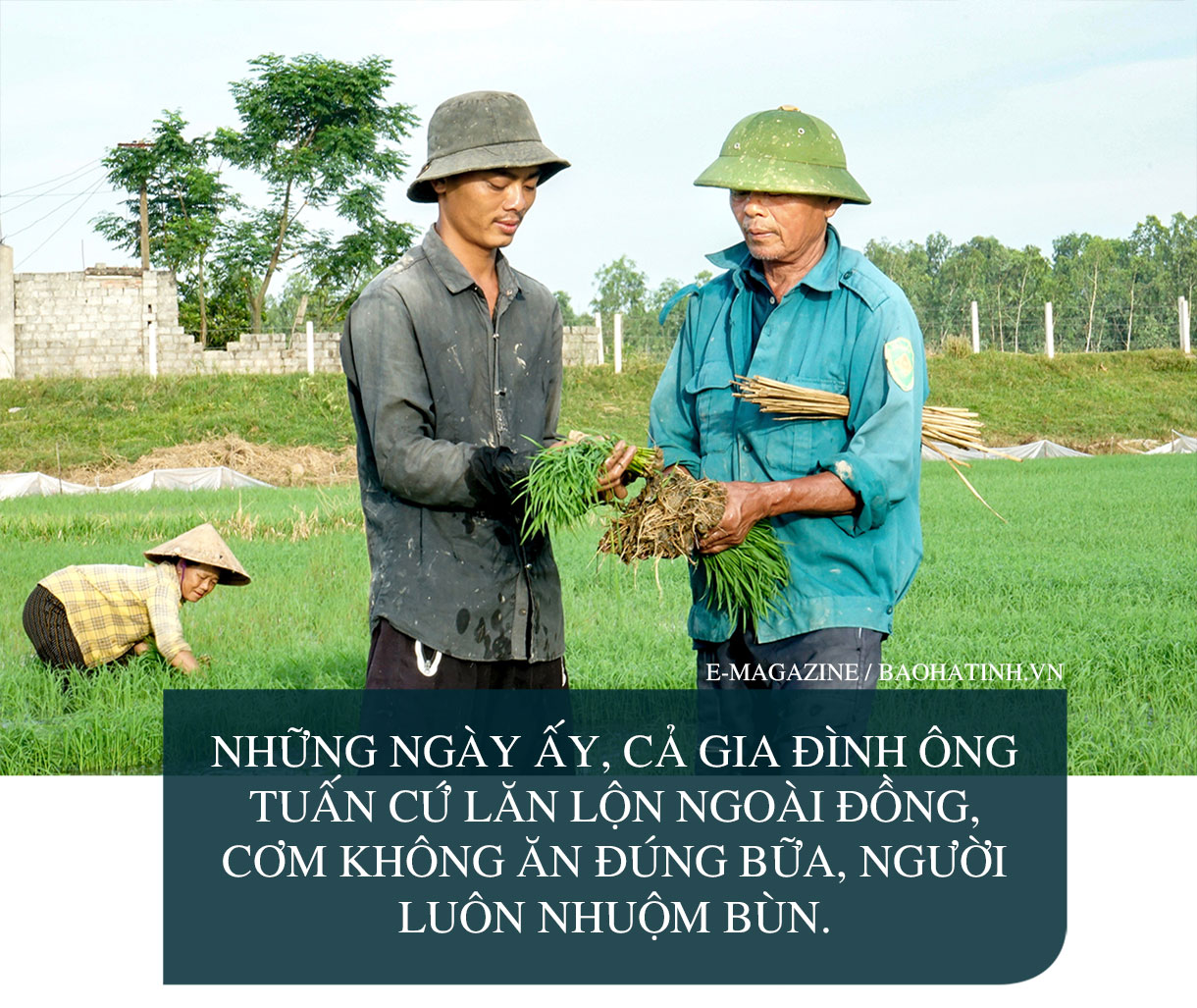 Chuyện “ngược đời” của cha con “hai lúa” ở Hà Tĩnh