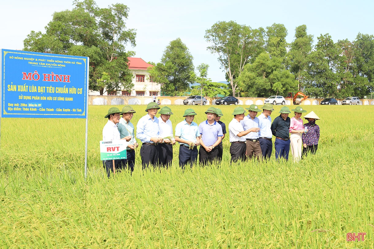 Ưu tiên chỉ đạo thực hiện tái cơ cấu nông nghiệp đi vào chiều sâu, hướng đến nền nông nghiệp hiện đại