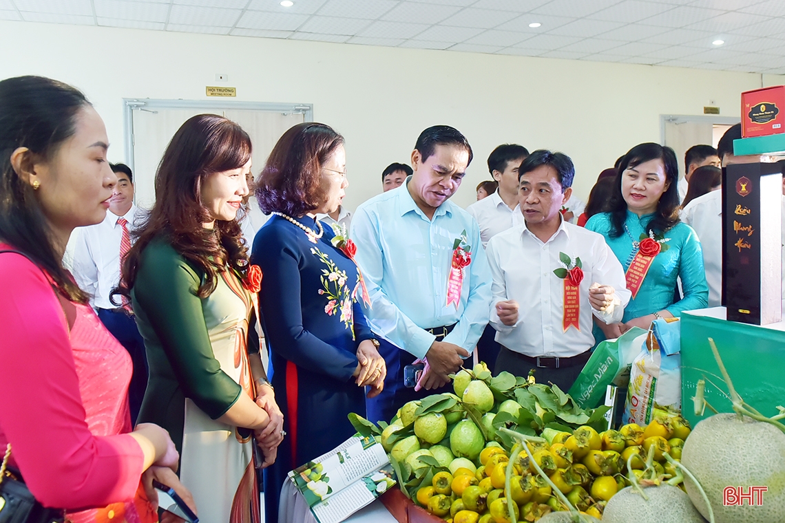 Hà Tĩnh biểu dương 114 tập thể, cá nhân xuất sắc trong phong trào nông dân sản xuất kinh doanh giỏi