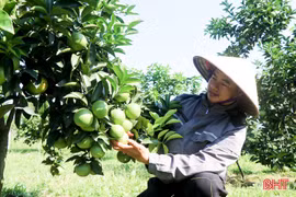 Phát huy hiệu quả nguồn vốn, tạo sinh kế bền vững ở Đồng Lộc