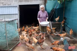 Những mô hình sinh kế tạo điểm tựa cho người nghèo ở Gia Hanh