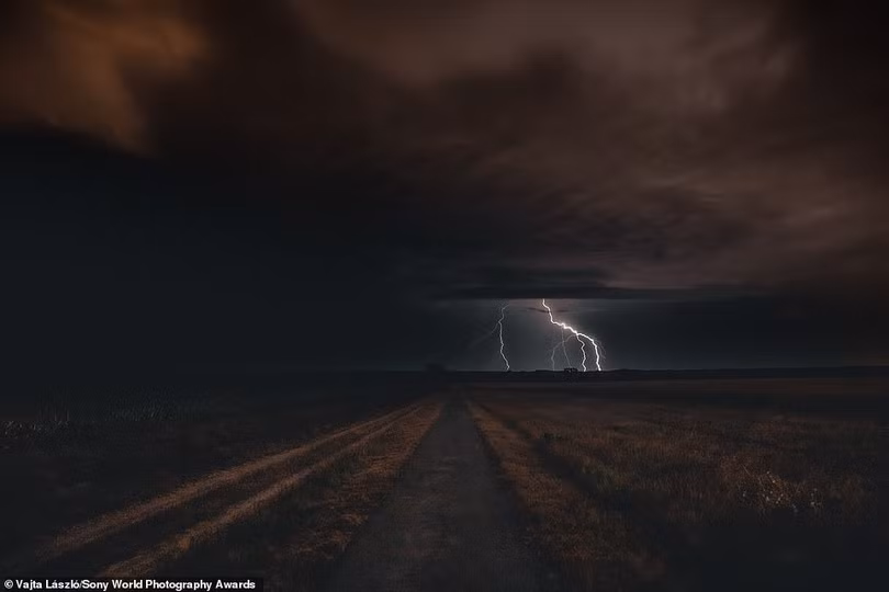 Mãn nhãn loạt ảnh đẹp dự thi giải Sony World Photography Awards 2021