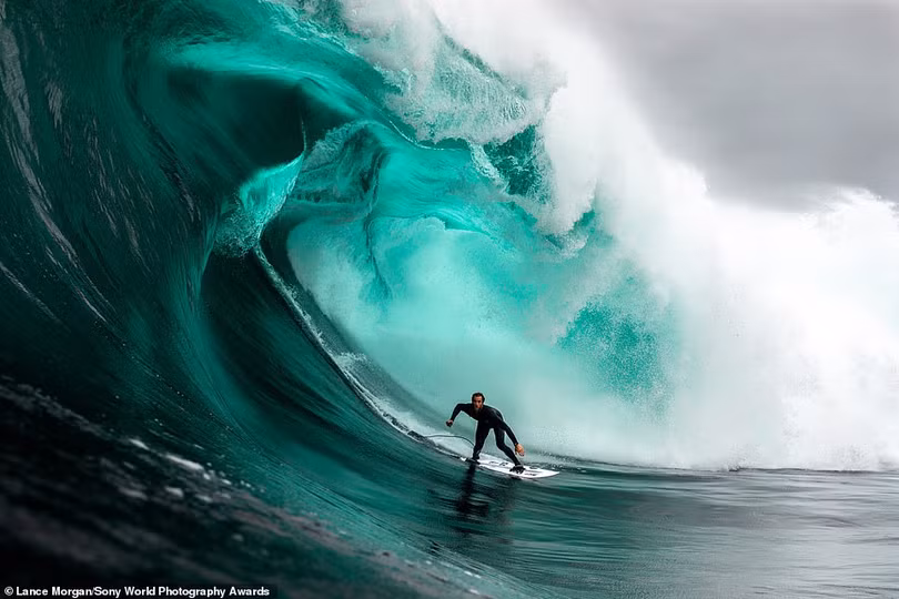 Mãn nhãn loạt ảnh đẹp dự thi giải Sony World Photography Awards 2021